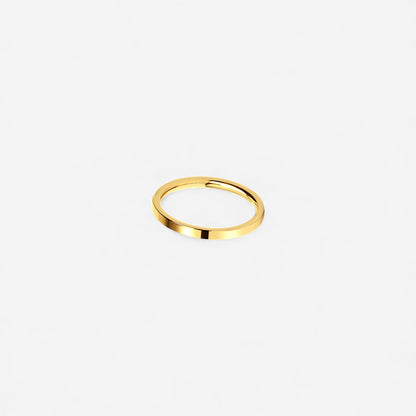 GOLD STEEL ring
