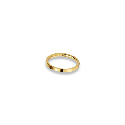 GOLD STEEL ring