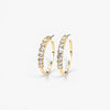 GLAM CZ gold hoops